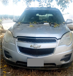 2010 Chevrolet Equinox